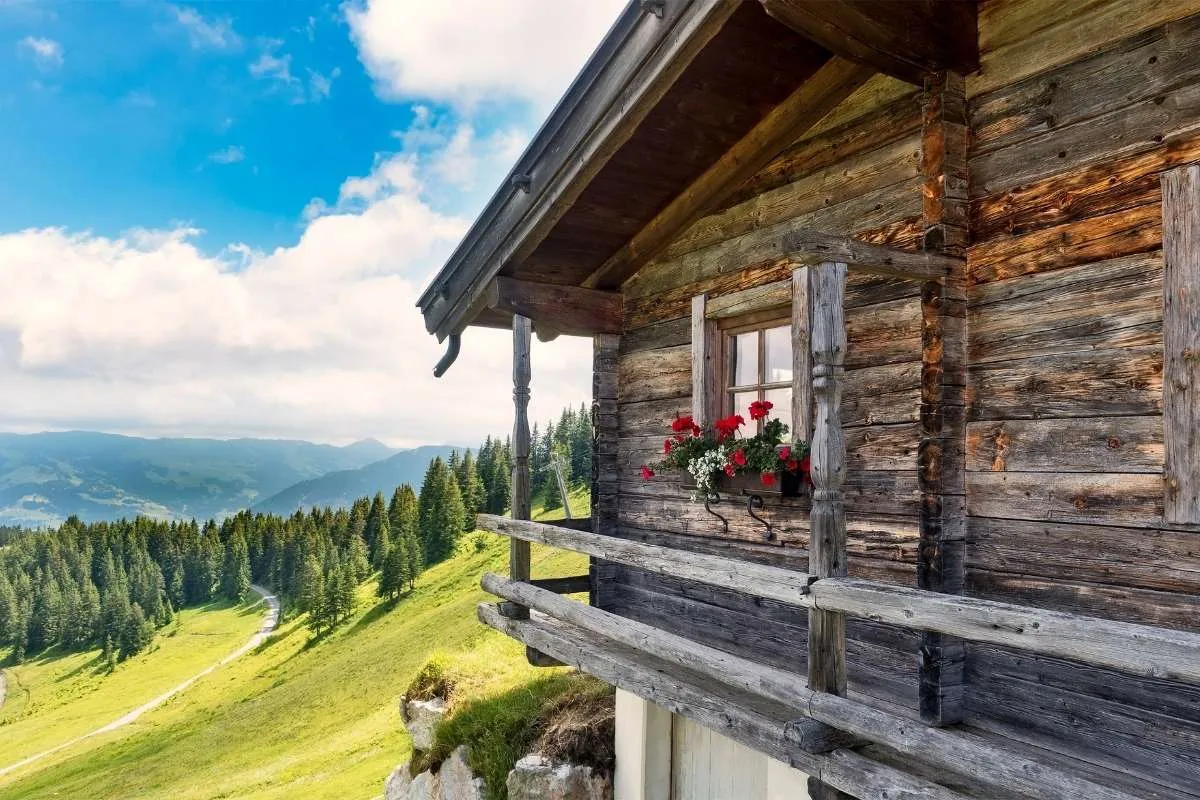 Articoli da leggere